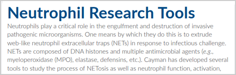 neutrophil-defensive-networks-highlight.png