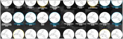 NPS Snapshot: Nitazenes