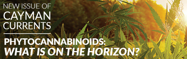phyto current feature.png