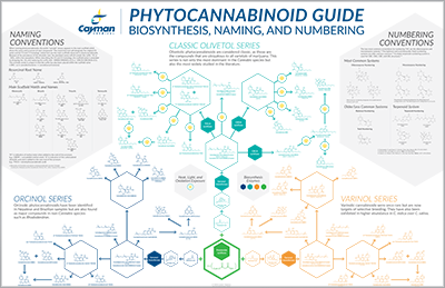 phytocannabinoid-article-thumbnail.png
