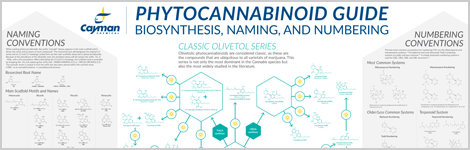 phytocannabinoid poster