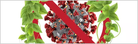 promising-natural-products-for-covid-highlight.png
