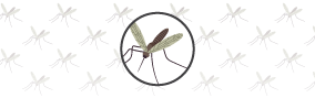 Pesticide Compound Library