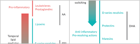 Specialized Pro-Resolving Mediators and Eicosanoids: A Preferred Solid-Phase Extraction Protocol from Tissues and Biological Fl