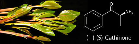 stimulant-use-abuse-cathinones-highlight.jpg