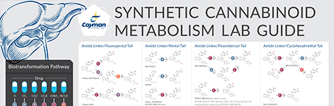Synthetic Cannabinoid Metabolism Lab Guide