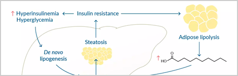 targeting-insulin-resistance-highlight.png