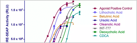 targeting-novel-nash-therapeutics-highlight.png