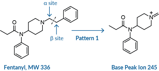 tips pattern1.jpg