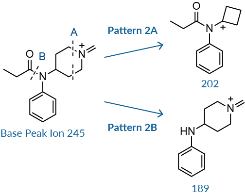 tips pattern2.jpg