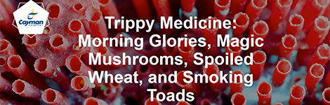 trippy-medicine-highlight.png