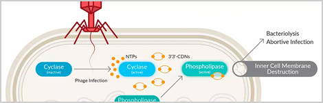 ubiquitous-cellular-messengers-highlight.png
