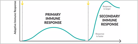 vaccine-dev-emerging-infectious-disease-highlight.png