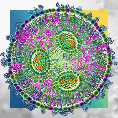 As Cell Therapy Evolves the Technology is Maturing