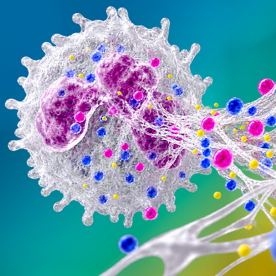 Finding the Right Assay Kit NETosis