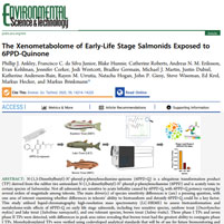 The Xenometabolome of Early-Life Stage Salmonids Exposed to 6PPD-Quinone