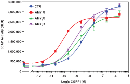 CGRP dose-response curves for CTR, AMY1R, AMY2R, AMY3R