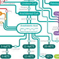 Lipid Resource Center