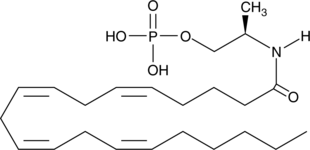 R-1 Methanandamide Phosphate (R-1MAP, (R)-(+)-Arachidonyl-1'-Hydroxy-2'-Propylamide Phosphate, CAS Number: 649569-33-5)