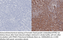 PINK1 Polyclonal Antibody