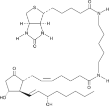 Prostaglandin E2-biotin