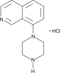 8-piperazin-1-yl-Isoquinoline (hydrochloride) (CAS Number: 936643-79-7)