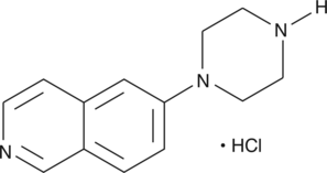 6-piperazin-1-yl-Isoquinoline (hydrochloride) (CAS Number: 936643-77-5)