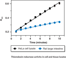 l acetyl glutathione Glutathione Reductase (GR) Activity Assay Kit at ₹ 26619/kit | New Delhi main image 0