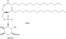 PtdIns-(4,5)-P2 (1,2-dipalmitoyl) (sodium salt) (DPPI-4,5-P2, Phosphatidylinositol-4,5-diphosphate C-16, PI(4,5)P2 (16:0/16:0), PIP2[4',5'](16:0/16:0), CAS Number: 1628353-01-4)