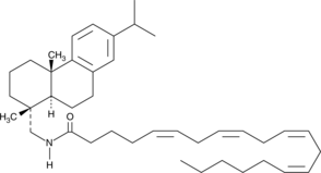 Arachidonic Acid Leelamide (CAS Number: 2841710-23-2)