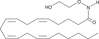 oxy-Arachidonoyl Ethanolamide (oxy-AEA, oxy-Anandamide, CAS Number: 883296-70-6)