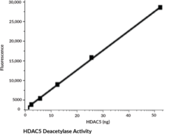 HDAC5 (human, recombinant)