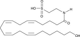 20-hydroxy N-Arachidonoyl Taurine