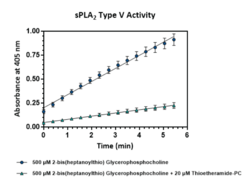 sPLA2 (human, recombinant Type V)