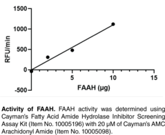 Fatty Acid Amide Hydrolase (human, recombinant)