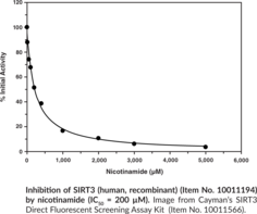 SIRT3 (human, recombinant)