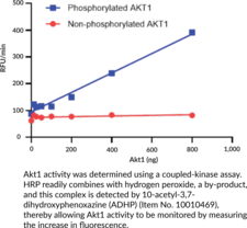 Akt1 (human, recombinant)