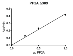 Protein Phosphatase 2A C subunit (L309 deletion mutant; human, recombinant)