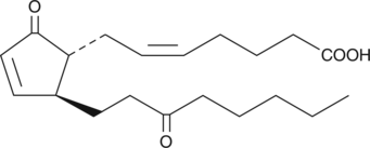 13,14-dihydro-15-keto Prostaglandin A2 (13,14-dihydro-15-keto PGA2, CAS Number: 74872-89-2)