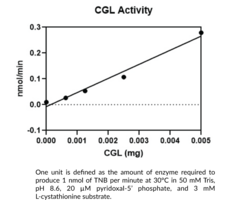 Cystathionine γ-Lyase (human, recombinant)