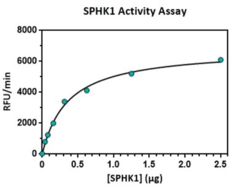 Sphingosine Kinase 1 (human, recombinant)