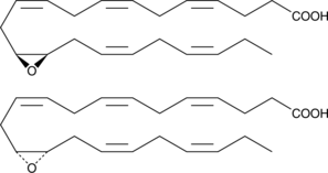 (±)13(14)-EpDPA ((±)13,14-EDP, (±)13,14-EpDPE, (±)13,14-epoxy DPA, (±)13,14-epoxy Docosapentaenoic Acid, CAS Number: 895127-64-7)