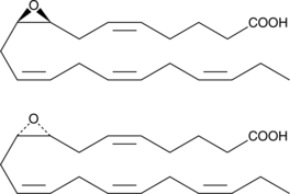 (±)8(9)-EpETE ((±)8,9-EEQ, (±)8,9-epoxy Eicosatetraenoic Acid, CAS Number: 851378-93-3)
