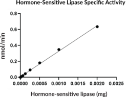Hormone-Sensitive Lipase (human, recombinant)
