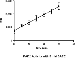 PAD2 (human, recombinant)