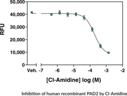 PAD2 (human, recombinant)