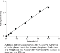 Autotaxin (human, recombinant)