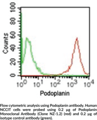 Podoplanin Monoclonal Antibody (Clone NZ-1.2)