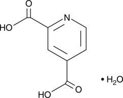 2,4-Pyridinedicarboxylic Acid (hydrate) (2,4-Dicarboxylpyridine, 2,4-PDCA, CAS Number: 207671-42-9)