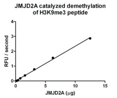 JMJD2A (human, recombinant; Strep-tagged)